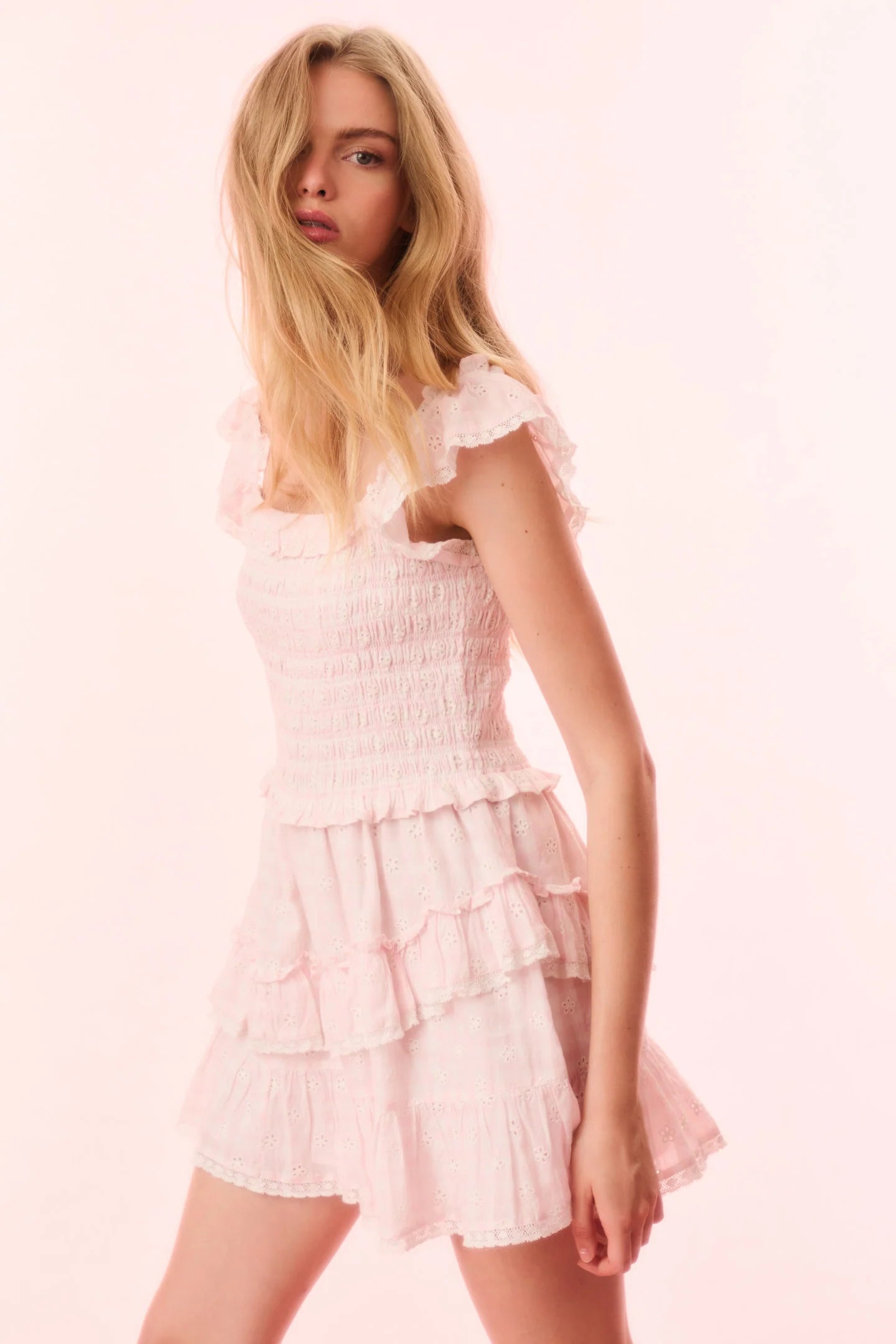 Aline Gingham Eyelet Mini Dress
