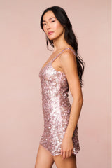 Dorrina Sequined Mini Dress