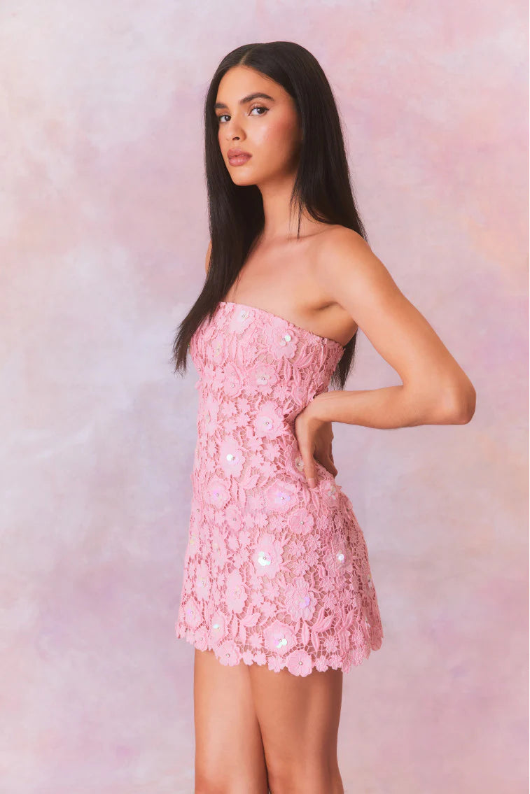 Paulinette Iridescent Sequin Mini Dress