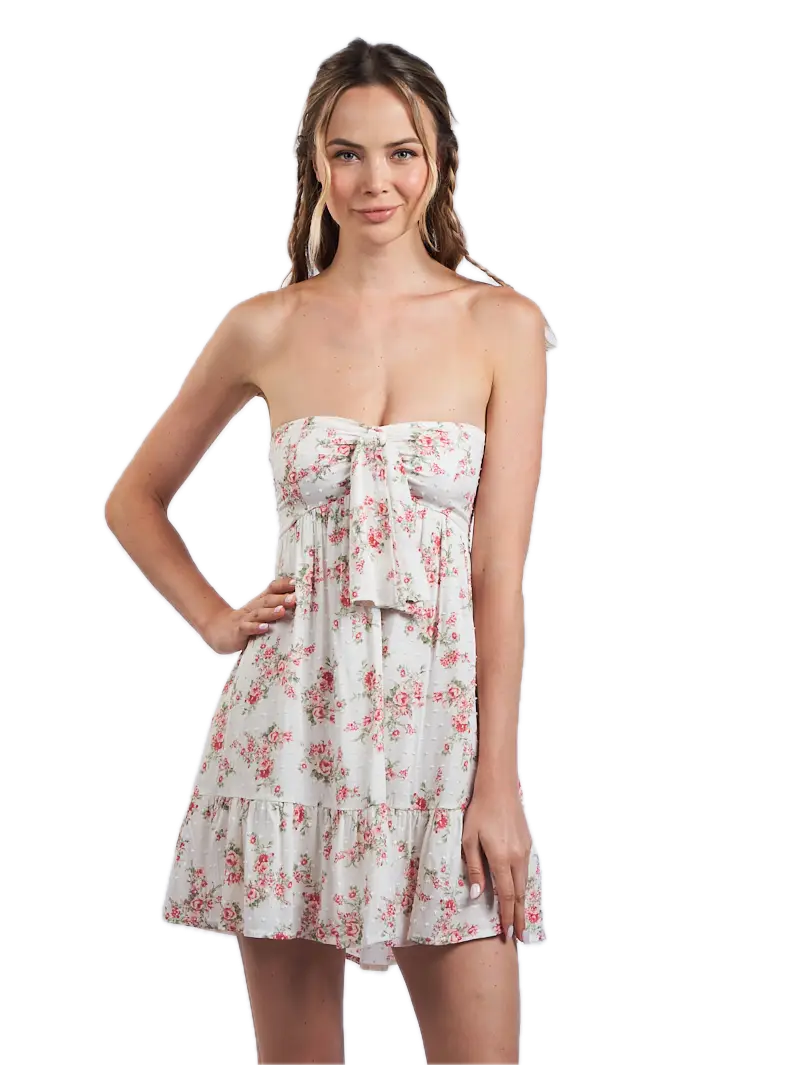 Anastasia Mini Dress